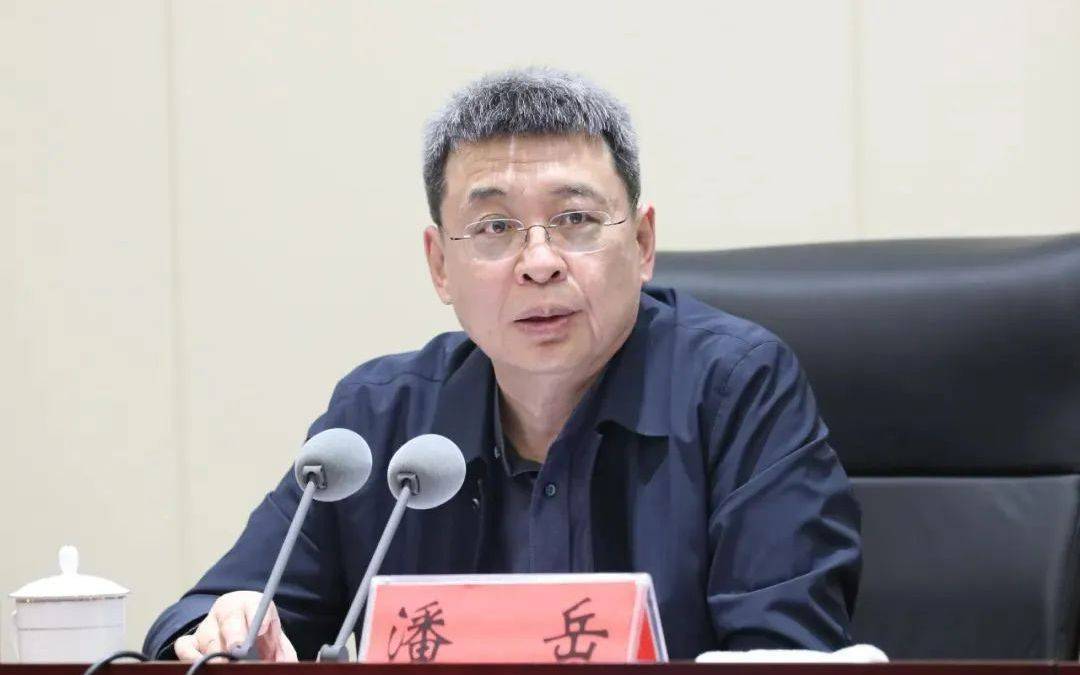 正部级潘岳<strong></p>
<p>原油与汽油</strong>，有新职
