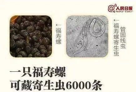 别吃！寄生虫多达6000条！浙江一地大量出现<strong></p>
<p>原油与汽油</strong>，看到立刻上报