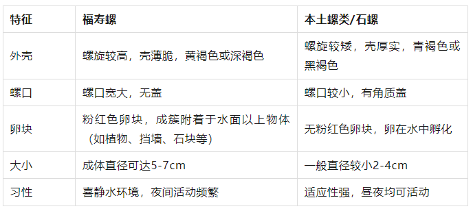 别吃！寄生虫多达6000条！浙江一地大量出现<strong></p>
<p>原油与汽油</strong>，看到立刻上报