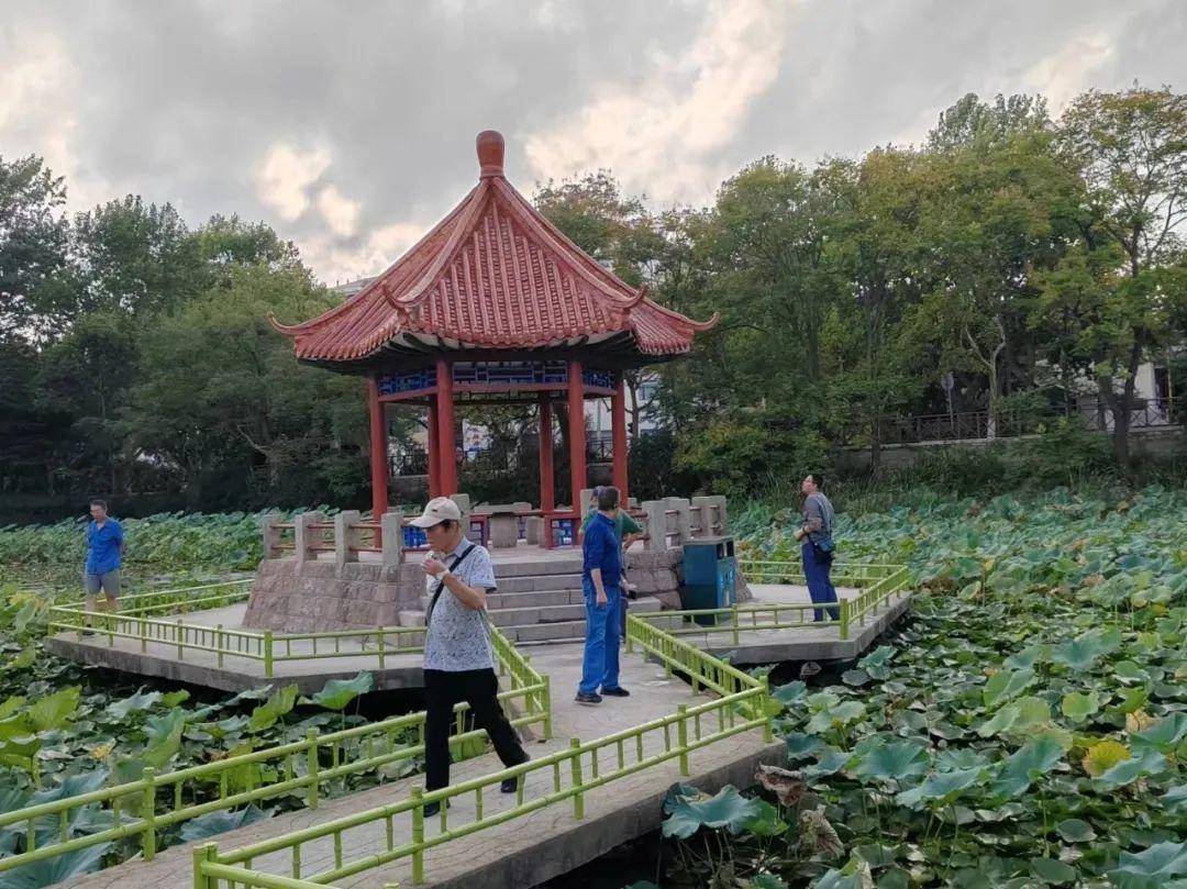 青岛中山公园一凉亭突然倒塌：一年前刚完成修缮<strong></p>
<p>非农原油</strong>，园方称无伤亡原因待查
