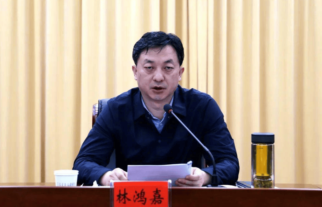 鹤壁市常务副市长林鸿嘉<strong></p>
<p>原油期货</strong>，被罢免市人大代表职务