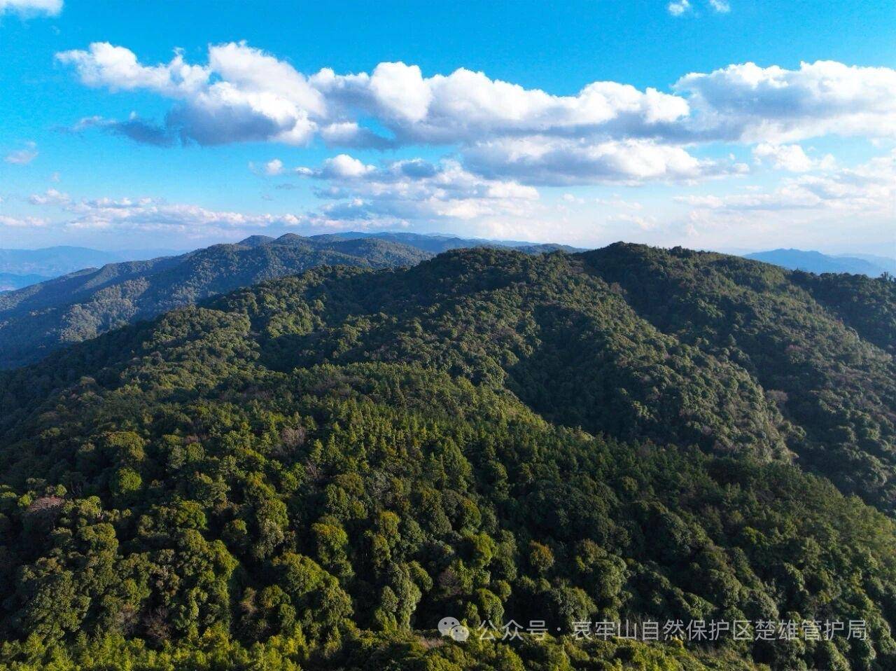 云南哀牢山新规出台：禁止任何单位和个人擅入哀牢山自然保护区<strong></p>
<p>上期原油</strong>，从事科研活动须报批