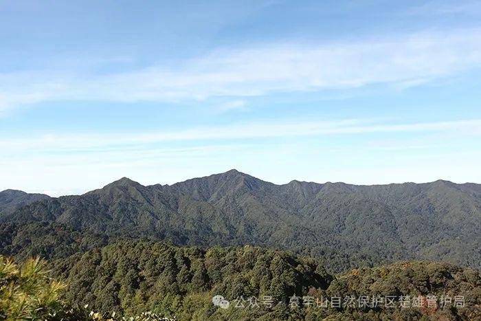 云南哀牢山新规出台：禁止任何单位和个人擅入哀牢山自然保护区<strong></p>
<p>上期原油</strong>，从事科研活动须报批
