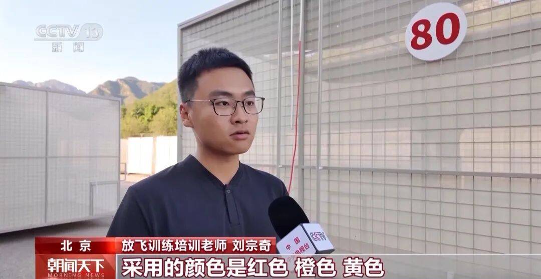 明天将放飞8万羽和平鸽、8万只气球<strong></p>
<p>上期原油</strong>，揭秘！