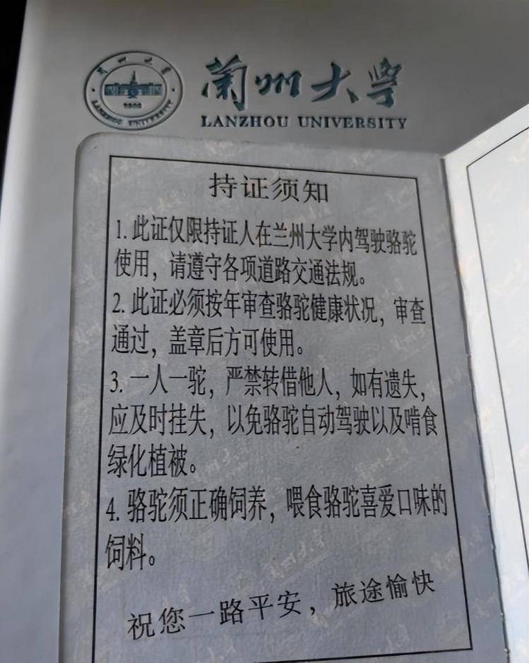 一人一驼<strong></p>
<p>上期原油</strong>，骆驼尾气排放超标要扣分？兰大回应学生持证骑骆驼上学：骆驼驾驶证为学校文创，非官方证件