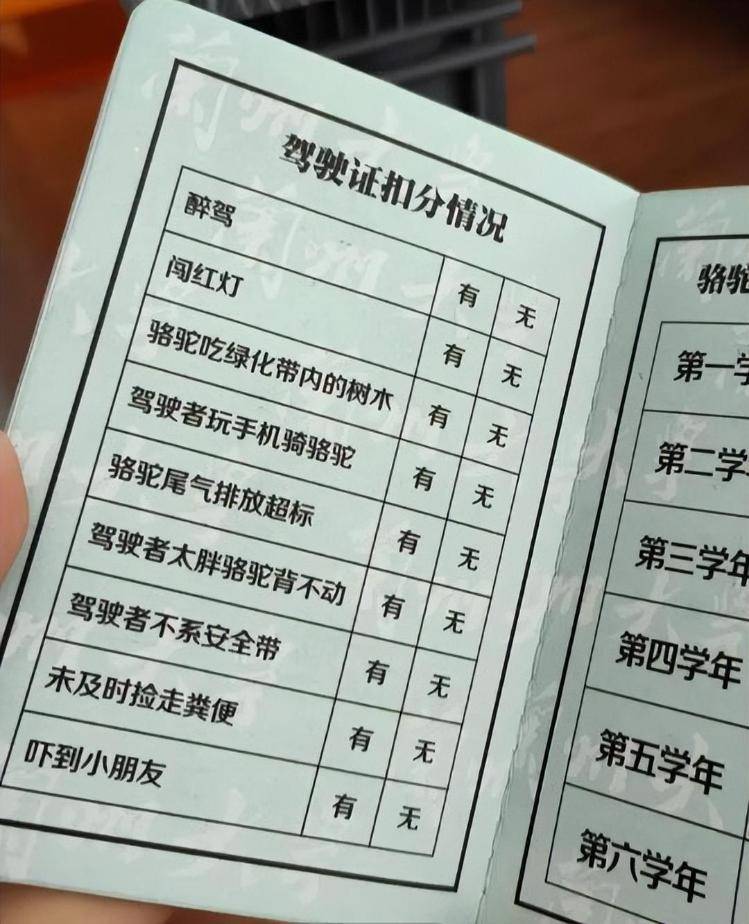 一人一驼<strong></p>
<p>上期原油</strong>，骆驼尾气排放超标要扣分？兰大回应学生持证骑骆驼上学：骆驼驾驶证为学校文创，非官方证件