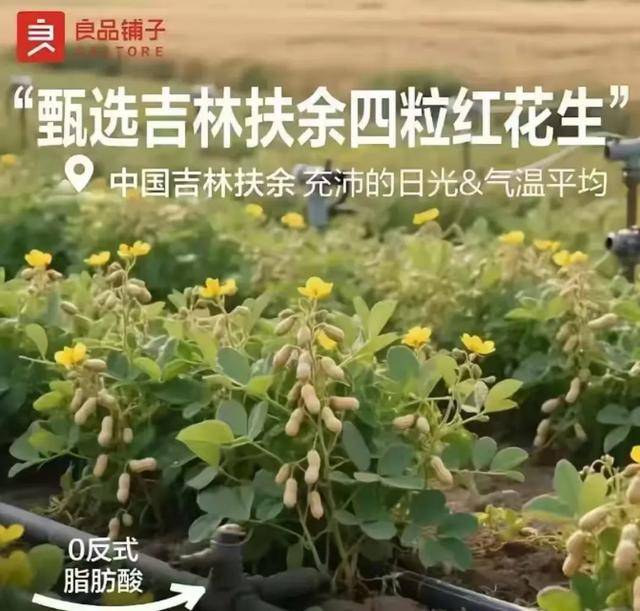 “花生上树”闹剧：AI翻车背后<strong></p>
<p>海峡原油</strong>，我们都在弄丢常识？