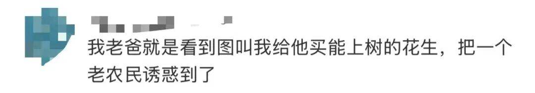 “花生上树”闹剧：AI翻车背后<strong></p>
<p>海峡原油</strong>，我们都在弄丢常识？