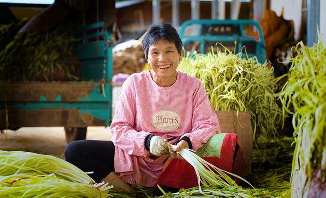 弥勒“新哨经验”<strong></p>
<p>真原油</strong>,全州推广!