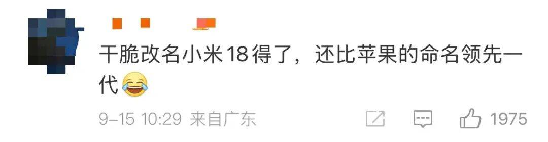 雷军：全面对标iPhone<strong></p>
<p>原油脱水方法</strong>，正面迎战！小米宣布跳过16系列，直接发布17