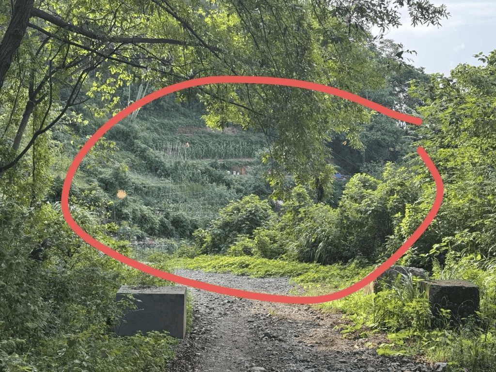 杭州女子误踩“化骨水”身亡<strong></p>
<p>黄金原油早评</strong>,当地:已锁定化学品所有者,发现三桶,一桶完整,两桶残余