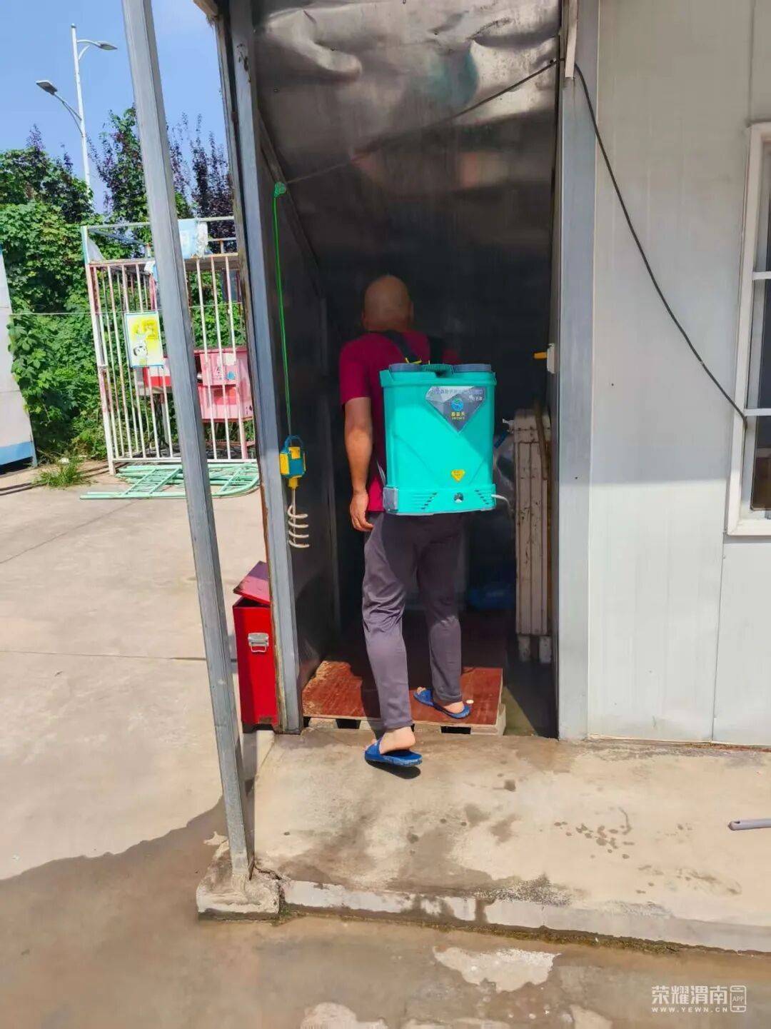 西安多区发现隐翅虫？千万别拍<strong></p>
<p>黄金原油早评</strong>！毒液堪比硫酸