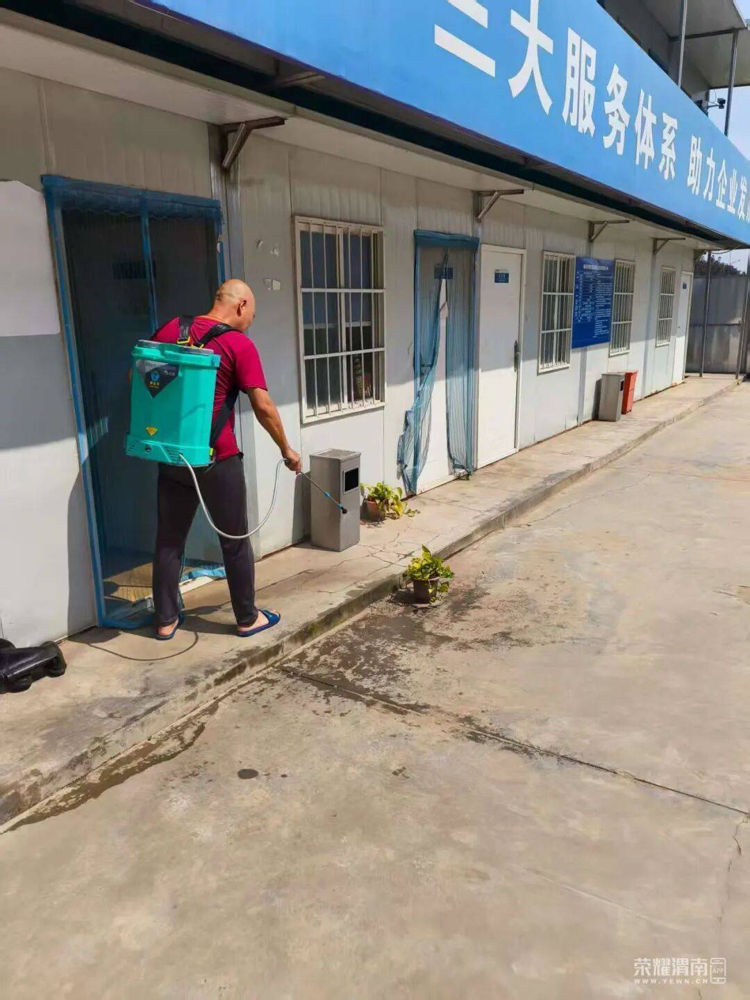 西安多区发现隐翅虫？千万别拍<strong></p>
<p>黄金原油早评</strong>！毒液堪比硫酸