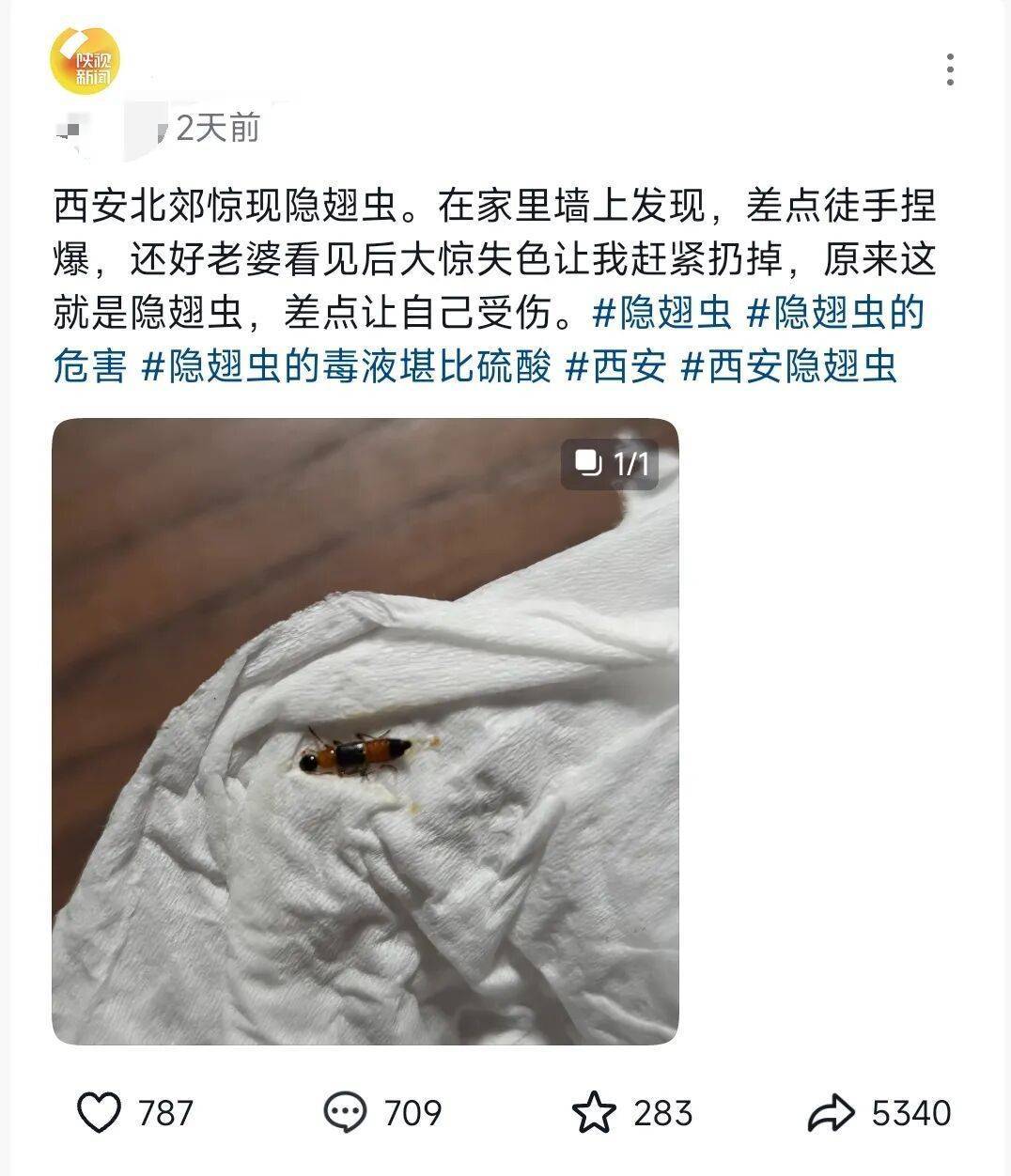 西安多区发现隐翅虫？千万别拍<strong></p>
<p>黄金原油早评</strong>！毒液堪比硫酸