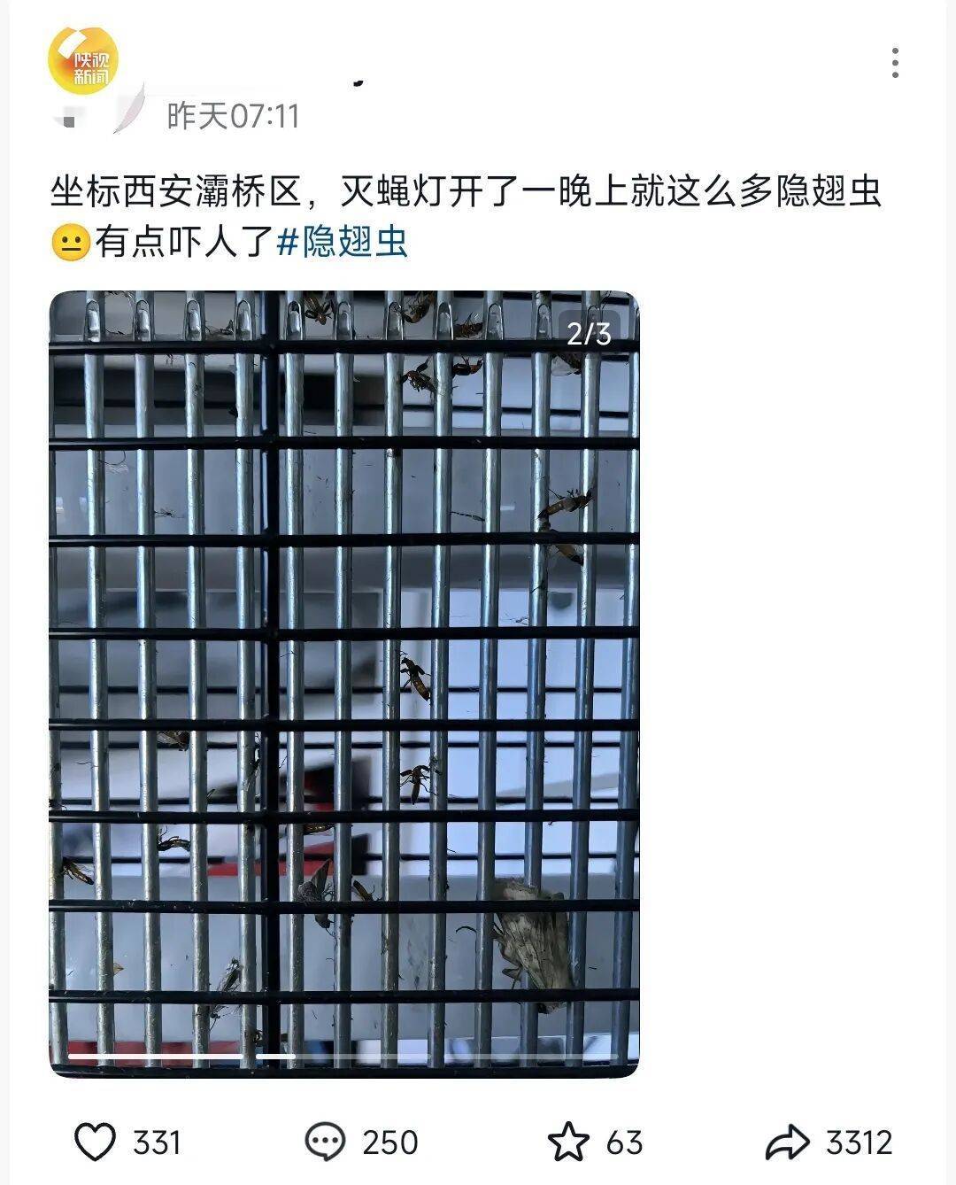 西安多区发现隐翅虫？千万别拍<strong></p>
<p>黄金原油早评</strong>！毒液堪比硫酸