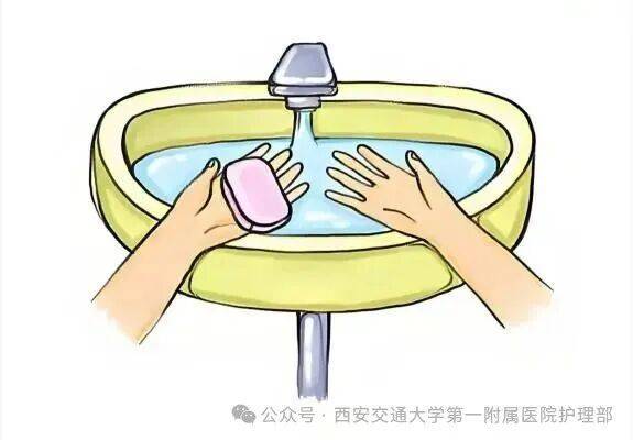 西安多区发现隐翅虫？千万别拍<strong></p>
<p>黄金原油早评</strong>！毒液堪比硫酸