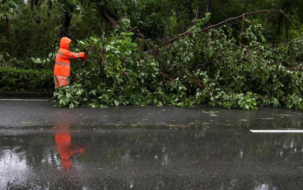 谁给“风王”踩了“刹车”<strong></p>
<p>原油美女</strong>,打了“转向”,又是咋知道的?