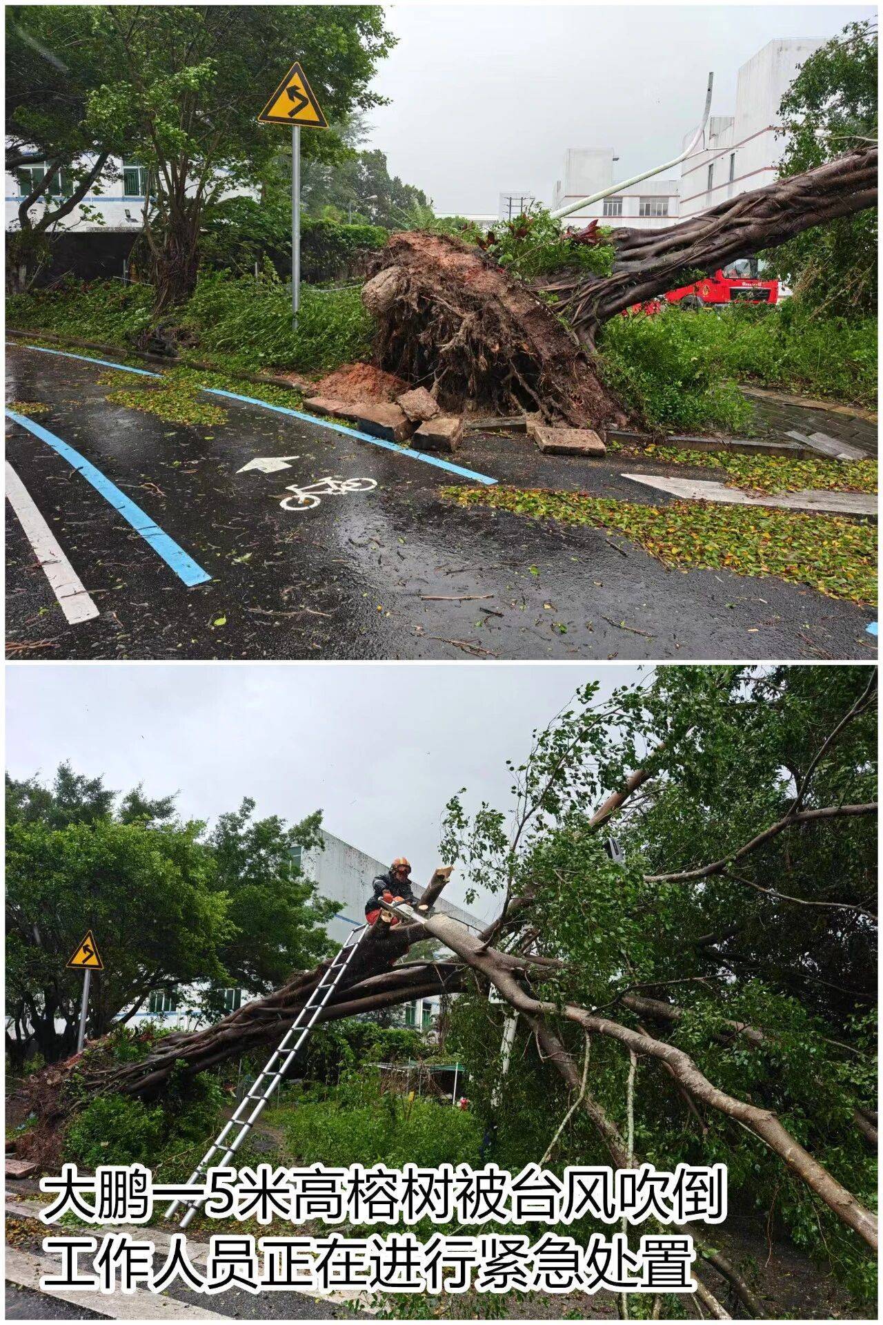 台风夜<strong></p>
<p>原油美女</strong>,深圳有人溺水!紧急!“桦加沙”过境,这些画面泪目