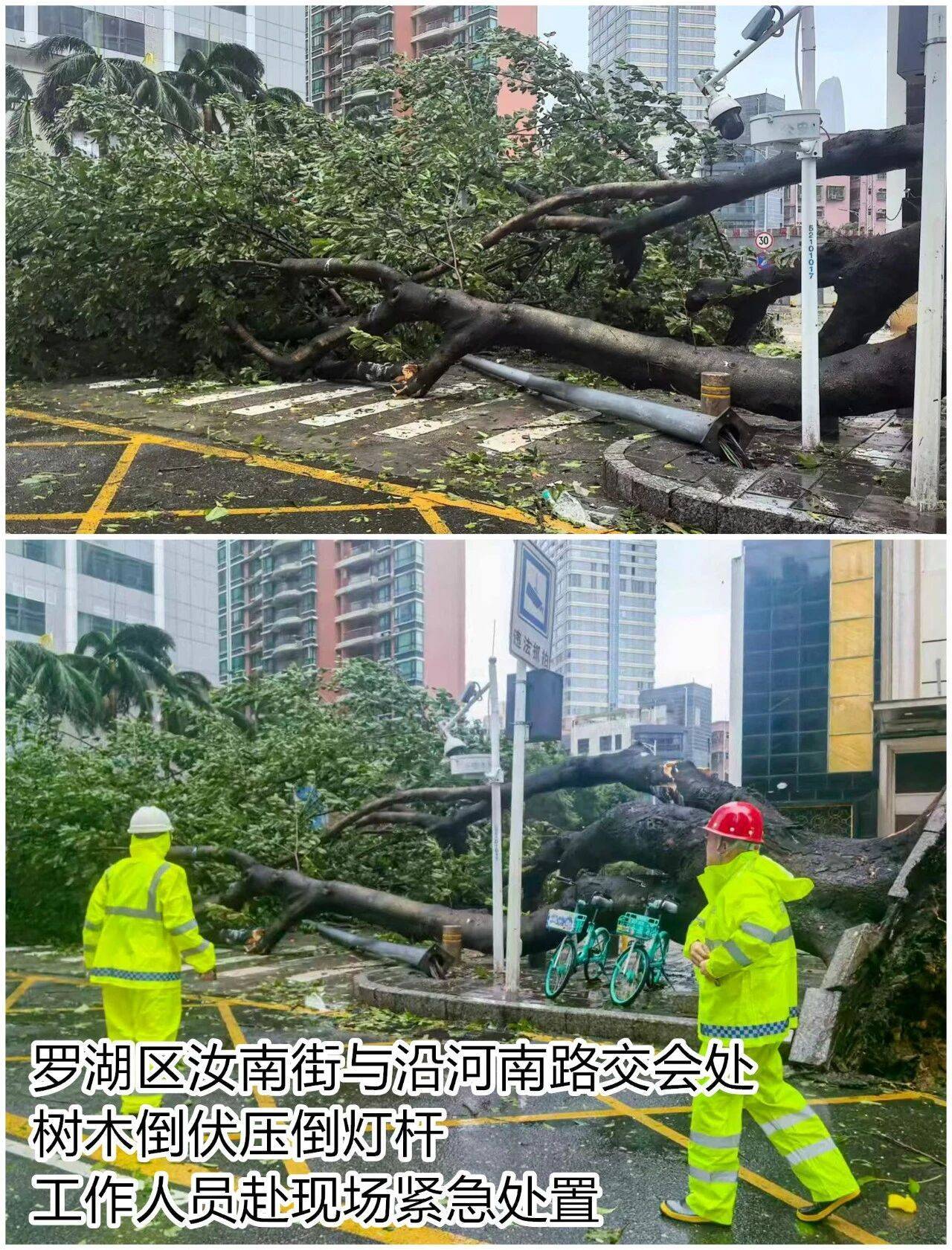 台风夜<strong></p>
<p>原油美女</strong>,深圳有人溺水!紧急!“桦加沙”过境,这些画面泪目