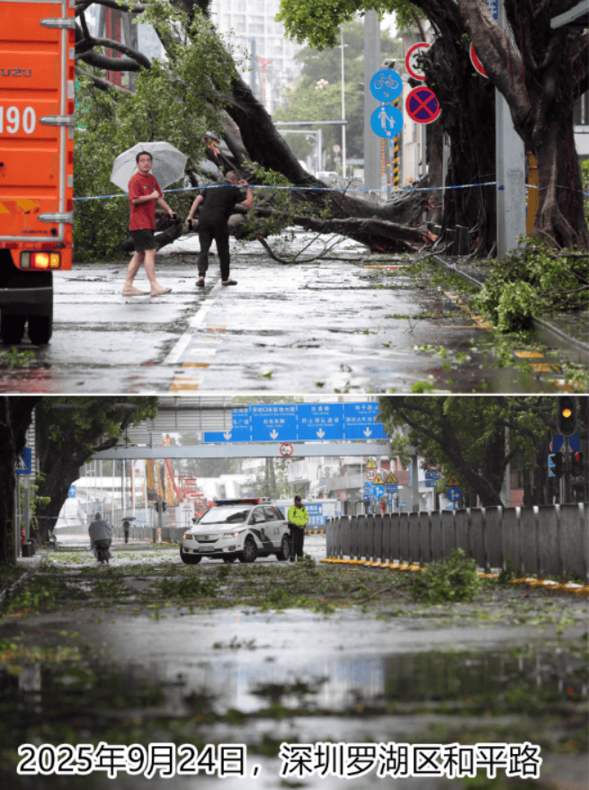 台风夜<strong></p>
<p>原油美女</strong>,深圳有人溺水!紧急!“桦加沙”过境,这些画面泪目