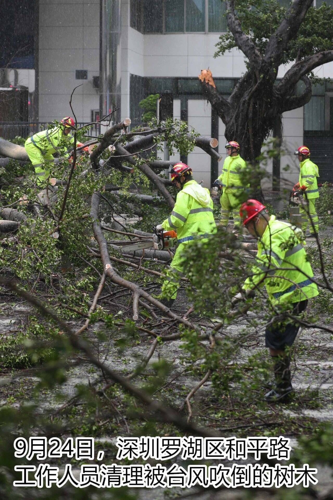 台风夜<strong></p>
<p>原油美女</strong>,深圳有人溺水!紧急!“桦加沙”过境,这些画面泪目