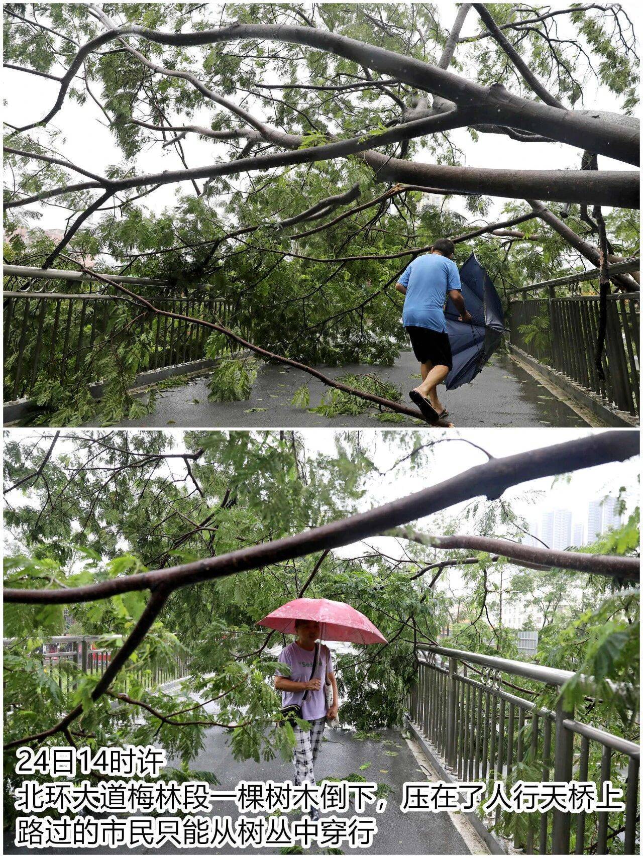 台风夜<strong></p>
<p>原油美女</strong>,深圳有人溺水!紧急!“桦加沙”过境,这些画面泪目