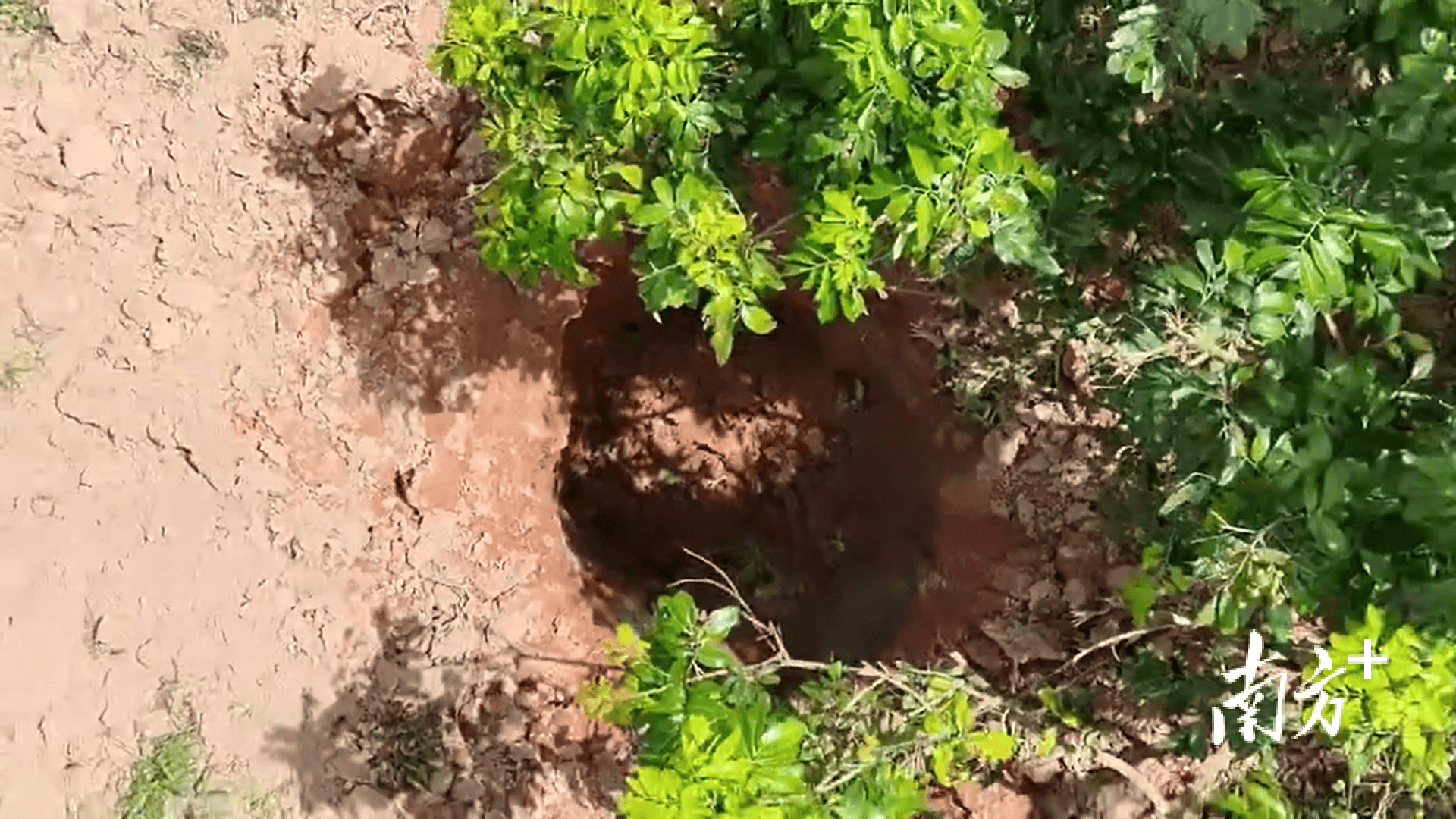 423公斤陨石在茂名电白挖出<strong></p>
<p>原油美女</strong>,系国内目击降落第二大单体陨石