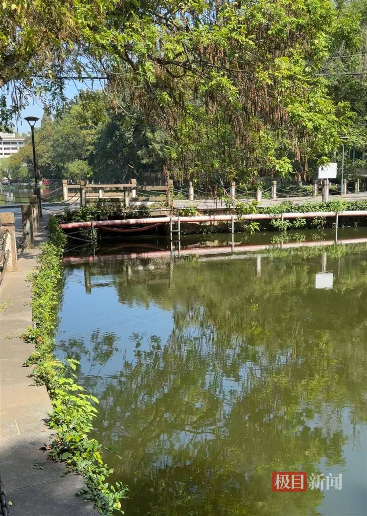 对话鸡排哥李俊永：爆火后每天一二十个镜头对着我<strong></p>
<p>融原油</strong>，未来不考虑直播带货，更愿意和顾客待在一起