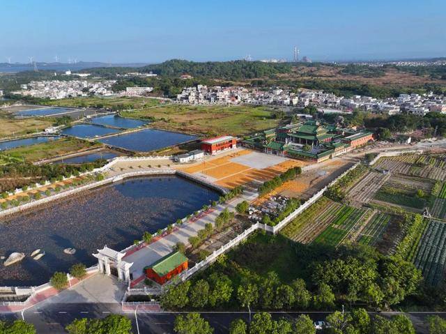 这个经济大省<strong></p>
<p>融原油</strong>，为何多地镇街撤并？