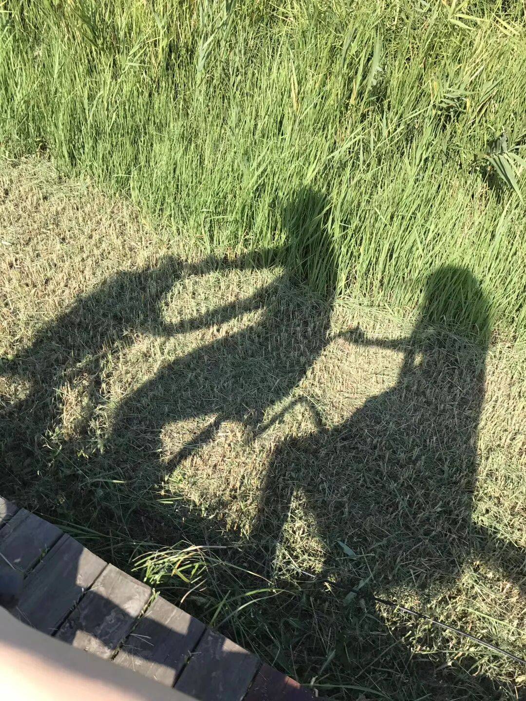 纸质火车票退场<strong></p>
<p>融原油</strong>,每道折痕里都藏着远方、爱情与山河记忆