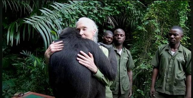 “课本上的传奇”<strong></p>
<p>切原油</strong>，走了