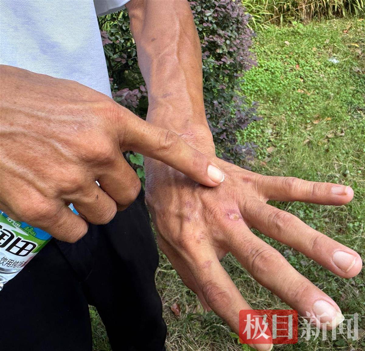 “鸡排哥”赚得盆满钵满购置多套房产?当事人幽默回应:还没到一个亿<strong></p>
<p>切原油</strong>,你多来,我才能多卖2份