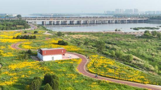 追光丨走出家门 来探探身边的环城绿道<strong></p>
<p>切原油</strong>!