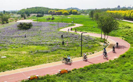 追光丨走出家门 来探探身边的环城绿道<strong></p>
<p>切原油</strong>!