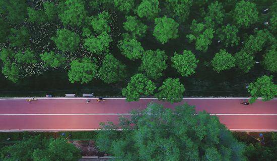 追光丨走出家门 来探探身边的环城绿道<strong></p>
<p>切原油</strong>!