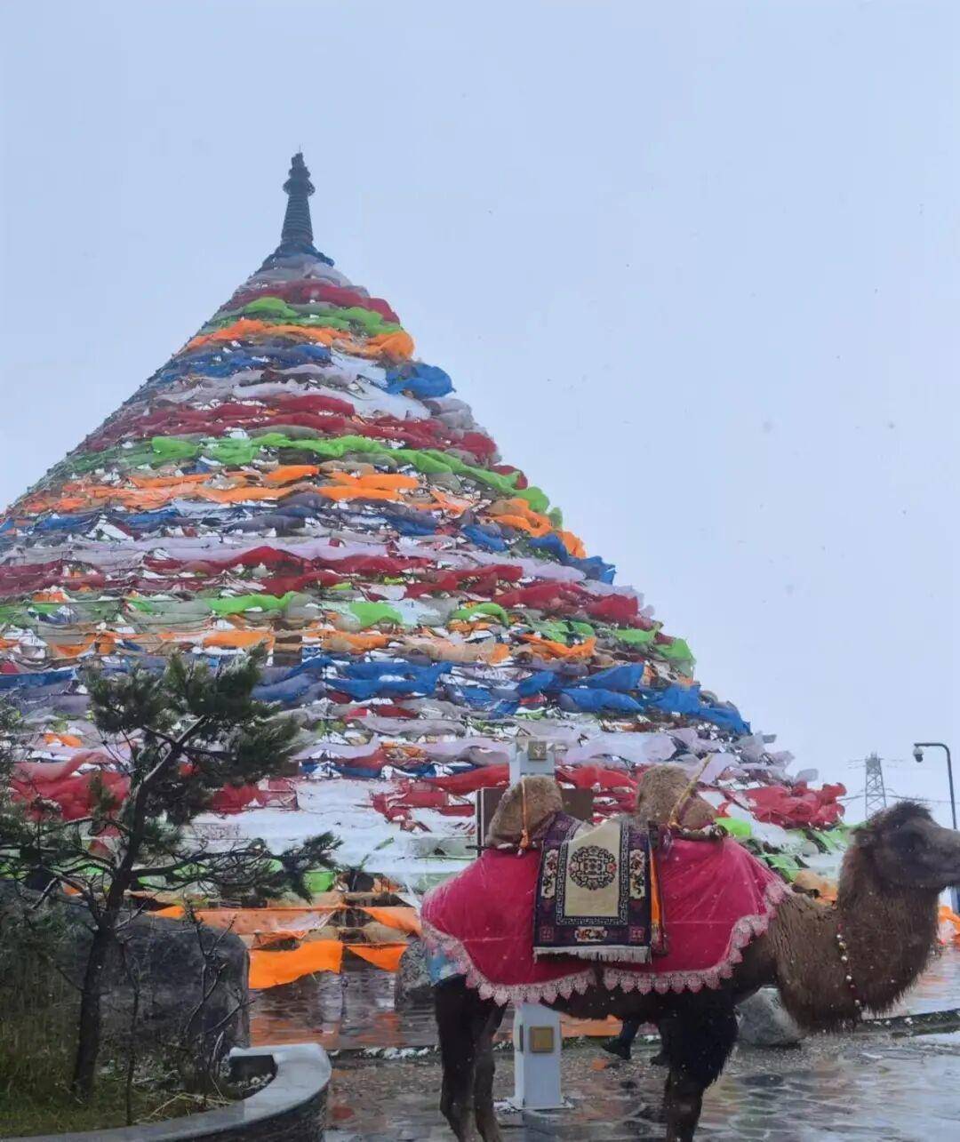 多地突降大雪<strong></p>
<p>切原油</strong>!