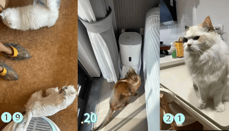 这个需求激增！一男子连接270单<strong></p>
<p>石油原油图片</strong>，其中一笔收费8100元