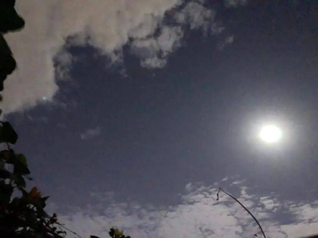 没有什么能阻挡！今天<strong></p>
<p>石油原油图片</strong>，广西人就是要回家！