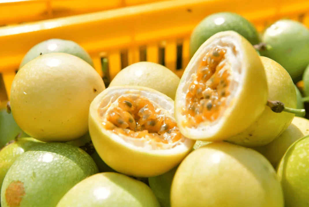 没有什么能阻挡！今天<strong></p>
<p>石油原油图片</strong>，广西人就是要回家！