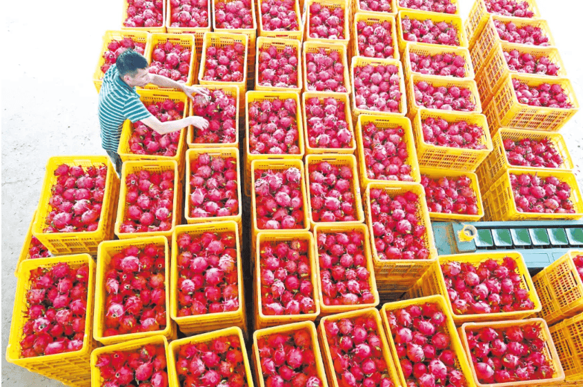 没有什么能阻挡！今天<strong></p>
<p>石油原油图片</strong>，广西人就是要回家！