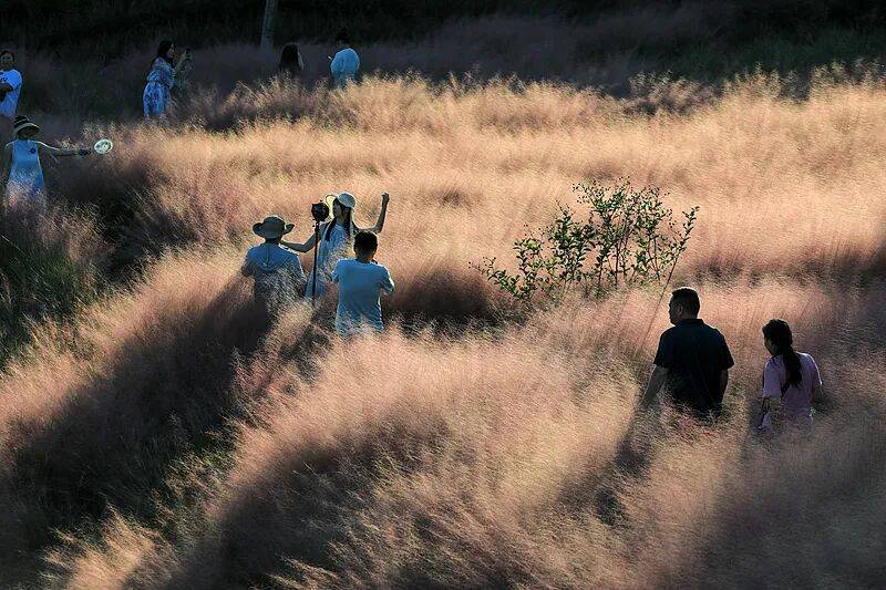 打卡拍照<strong></p>
<p>今日原油价格走势</strong>，再美也不能用生命对焦