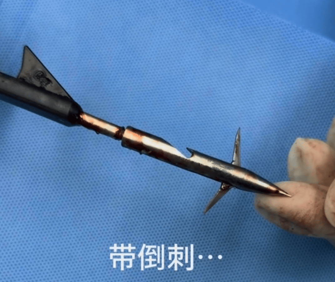 教育局回应“一教师用弓箭射杀小狗”:不实<strong></p>
<p>原油户</strong>,小狗进学校前就被射伤