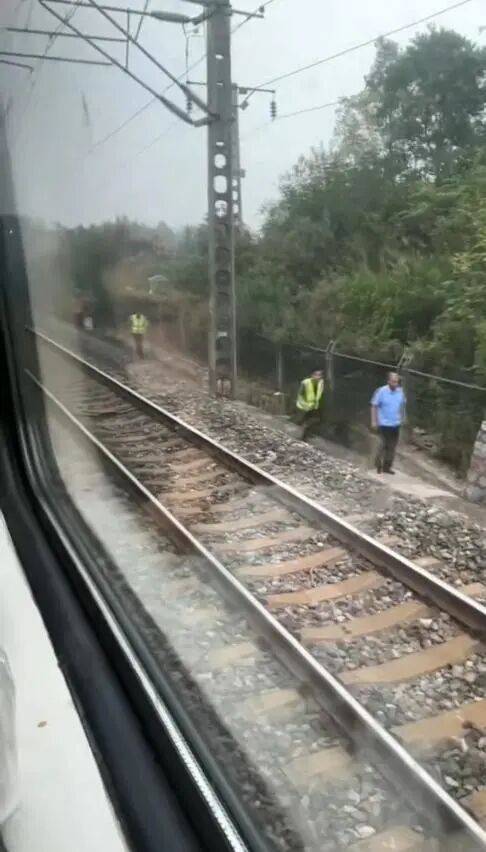 湖北一列车撞上野猪致停运<strong></p>
<p>原油户</strong>,铁路局:野猪已无害化处理,列车正常运行;附近曾发生多起野猪伤人事件