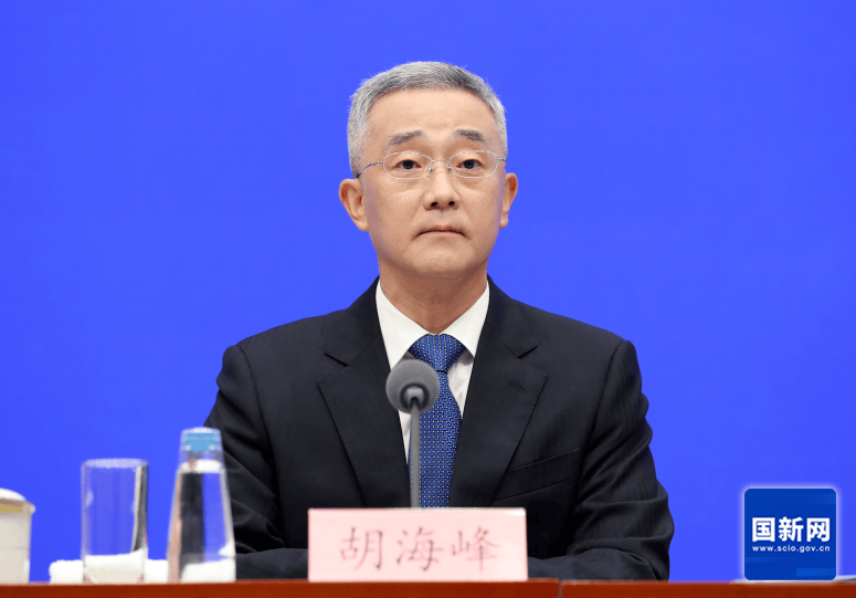 胡海峰:民政部门打击整治非法社会组织8000余个