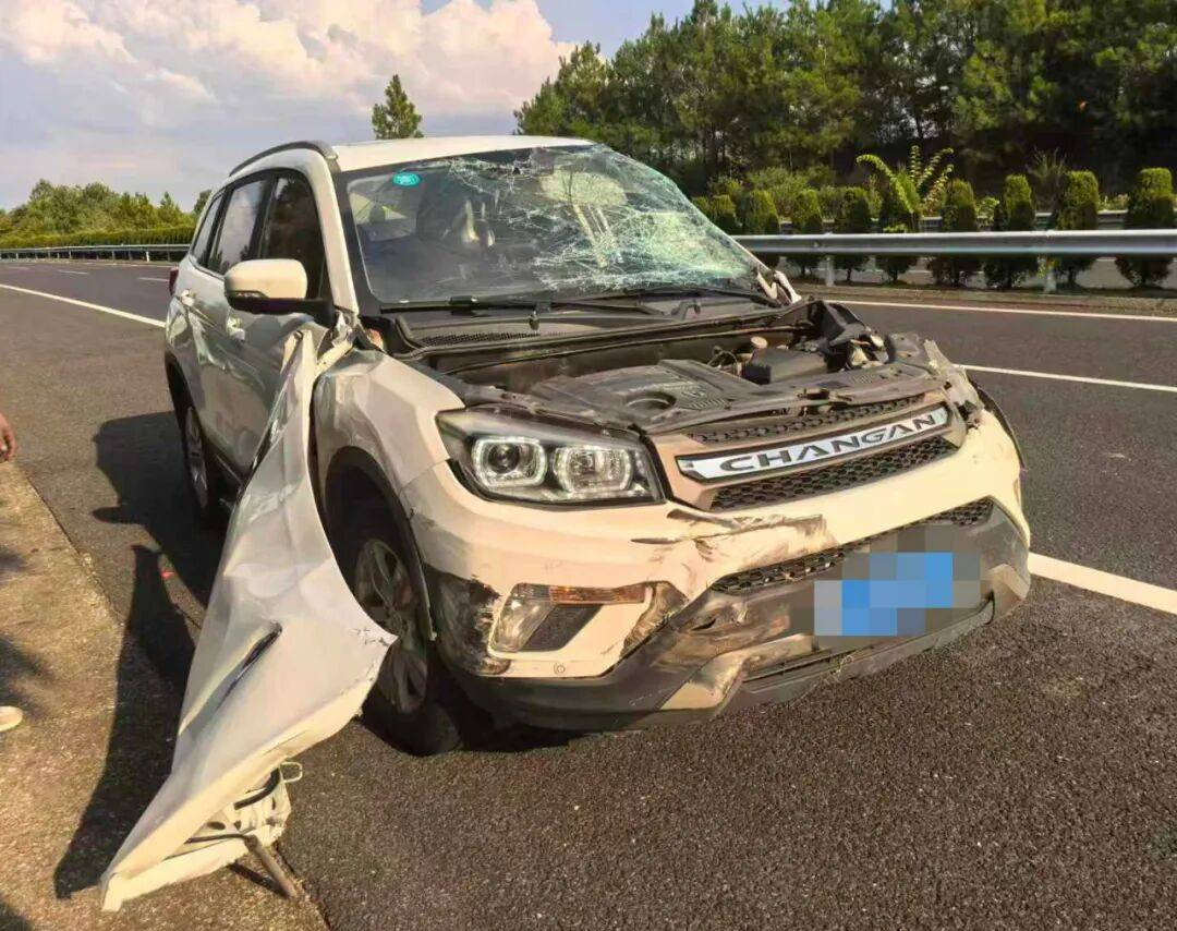 “我撒谎天打雷劈!”男子高速突然强行变道致翻车<strong></p>
<p>原油户</strong>,反诬赖对方