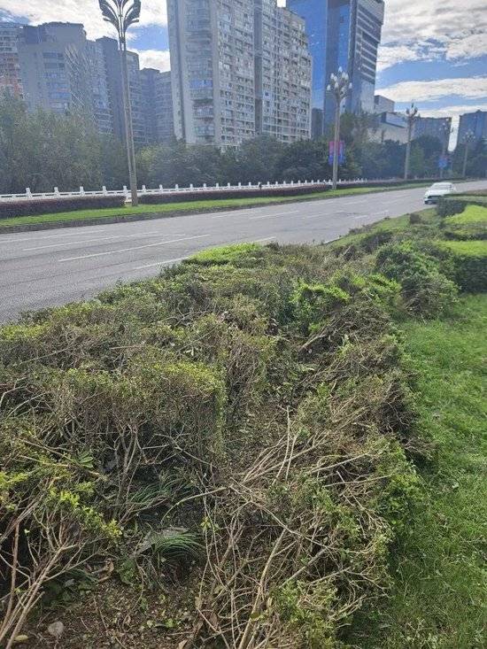 小米汽车失控起火司机遇难<strong></p>
<p>点差原油</strong>,目击者称车速150km/h,实探事故地:燃烧留下的印记仍在