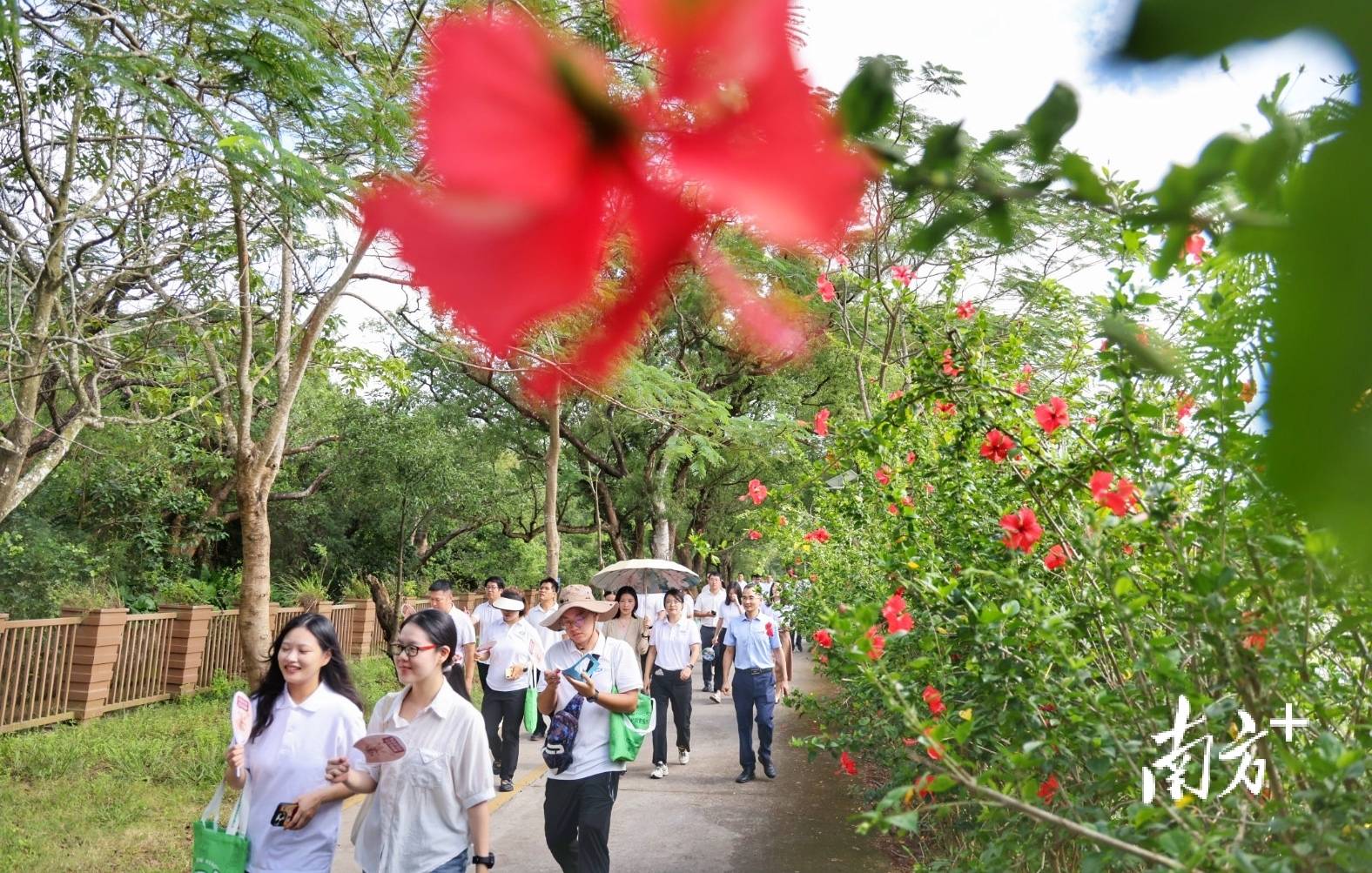 中山城建集团“连心桥”移交<strong></p>
<p>点差原油</strong>，村企共建绘就桂南新画卷