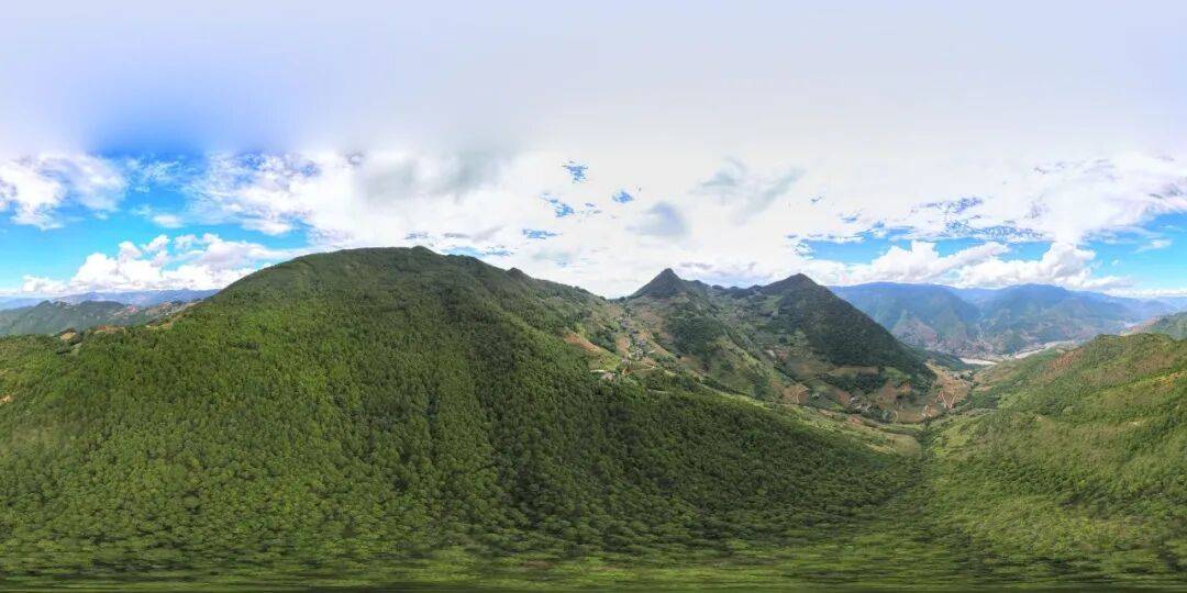 93岁老人进山失联<strong></p>
<p>现货原油诈骗</strong>，两天后发现他倒挂在树杈上苦撑……