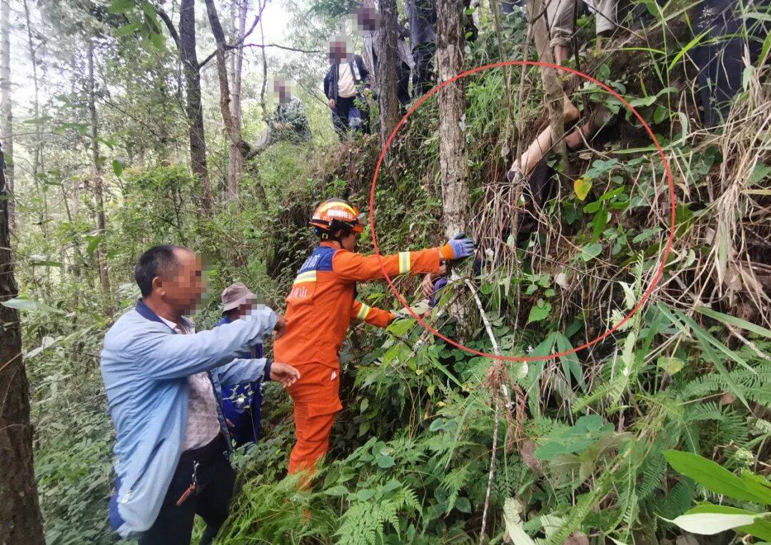 93岁老人进山失联<strong></p>
<p>现货原油诈骗</strong>，两天后发现他倒挂在树杈上苦撑……