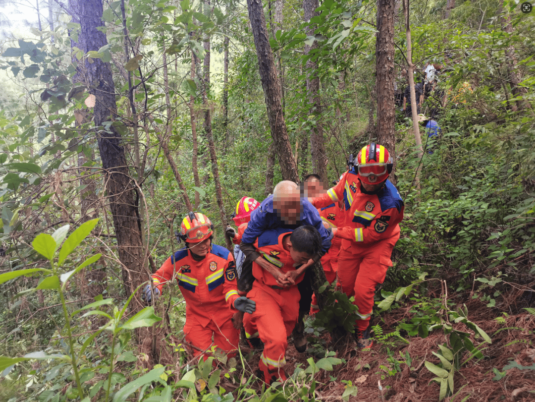 93岁老人进山失联<strong></p>
<p>现货原油诈骗</strong>，两天后发现他倒挂在树杈上苦撑……